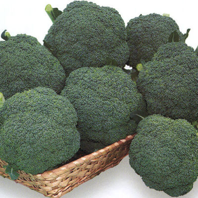 Fotos Brócoli